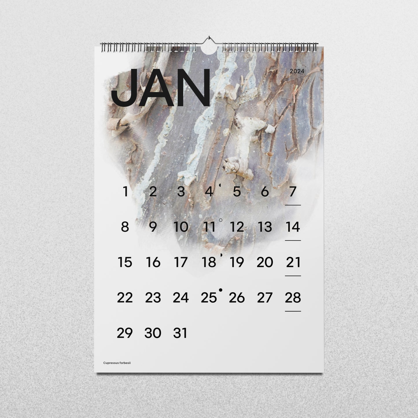 Calendario MTR'24