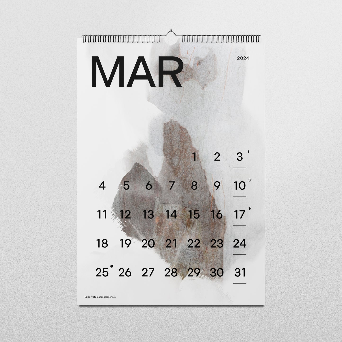 Calendario MTR'24